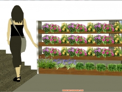 【立体绿化】植物柜子