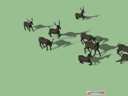 一组鹿群的模型