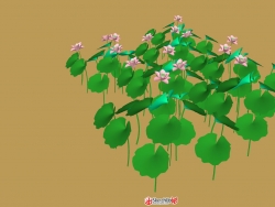 莲花模型