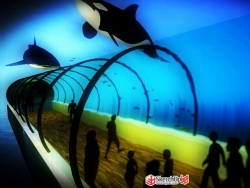 試做一個水族館必有的透明隧道效果圖