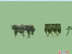 整理植物模型14-16