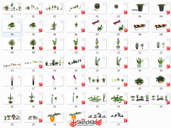 分享一些植物模型。