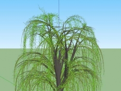 超精细的3D柳树模型，小场景必用。路过不要错过！