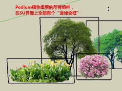 Podium植物库的不足和改造