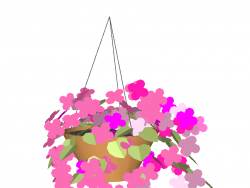 三盆吊兰植物模型