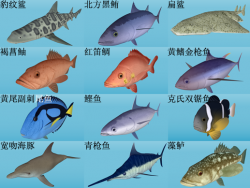 海洋鱼类模型集（DAE格式）