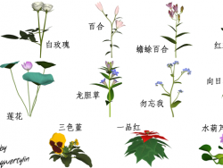 花卉模型集（DAE格式）