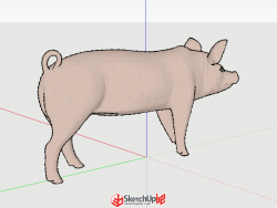 一只外形逼真的猪模型分享给大家
