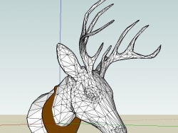 麋鹿头部模型