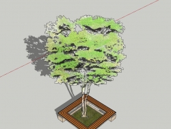 发一个很不错的树池的模型