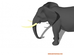 分享大象模型一个
