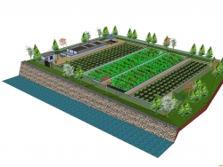 画得一个湿地污水厂模型，初学，多多包涵