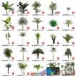 景观3D,2D植物树木综合SU模型下载