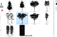 【Enscape素材】如何快速制作真实的树影效果？