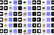 【ENS、3D、C4D等】40种形色各异的树叶，让寒冬中的你感受...