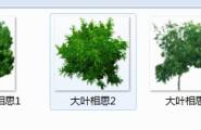 佳园景观软件的png植物图库