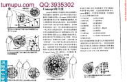 建筑pdf系列——建筑语汇-爱德华