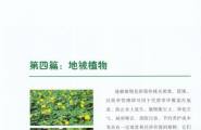 发个南方植物图鉴 pdf ！！