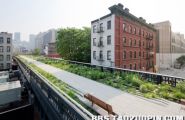 转载：新年第一次发帖纽约废旧高架铁路公园一角