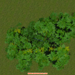 lumion植物-龙眼树-树桩