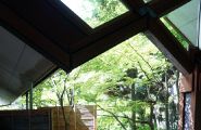 分享一下 日本京都的  梅小路公园