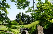 分享一下 日本京都的  梅小路公园