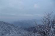 几年前的拍雪景，现在回忆满满。