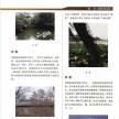 《中国园林图解词典》好书分享