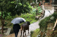 用石头写诗——泉州泉港樟脚村