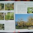 景观设计资料专辑——园林植物