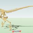 恐龙化石SU模型下载