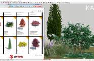 SU植物代理模型库插件SUPlants（支持Enscape）