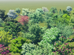 LUMION500种植物和顶渲视频