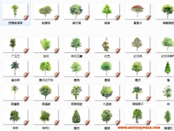 300多种树（部分带名称）