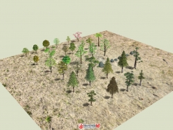 分享收集的树模型