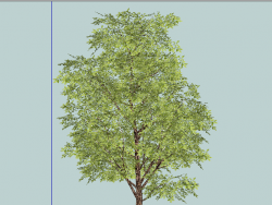 3D树，叶子较真实，渲图专用