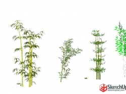 su竹子竹类模型素材SketchUp草图大师植物模型素材