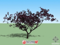 3D树