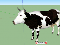 超精细奶牛3d模型