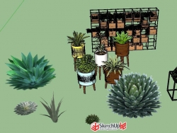 分享一组植物模型