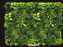 植物墙一面，转自3D