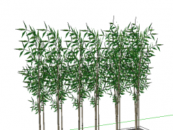 花箱绿植--竹