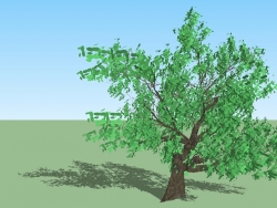 3D造型大树