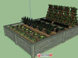 阳台蔬菜SU模型