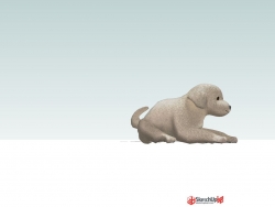 3D小狗宠物狗