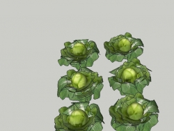 蔬菜，植物精细模型，求红宝石升级啊