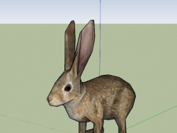 一组3D动物模型（5只）