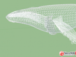 镂空鲸鱼雕塑模型