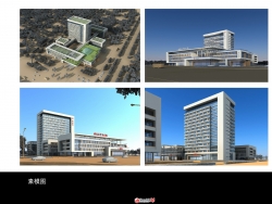 临武县中医院建筑设计投标项目SU模型