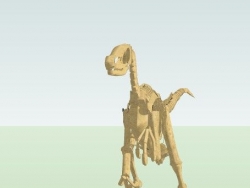 恐龙化石SU模型下载